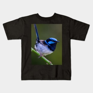 Australian Superb Fairy-Wren Kids T-Shirt